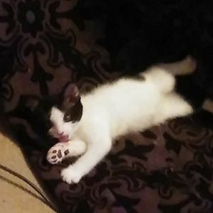 Meet your Posher, Aletha